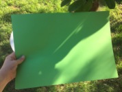 Green cardstock (A3+)
